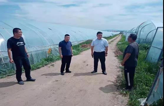 桦川县委常委周建伟深入横头山镇调研指导检查工作